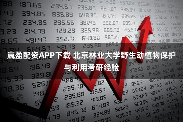 赢盈配资APP下载 北京林业大学野生动植物保护与利用考研经验