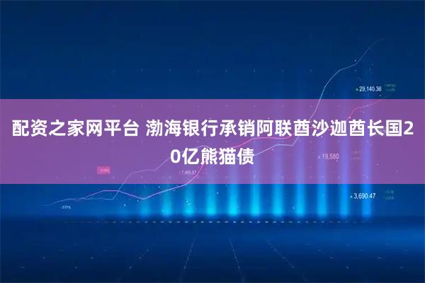 配资之家网平台 渤海银行承销阿联酋沙迦酋长国20亿熊猫债