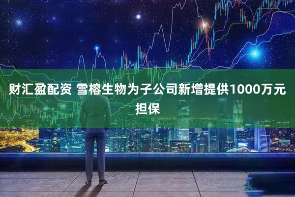 财汇盈配资 雪榕生物为子公司新增提供1000万元担保