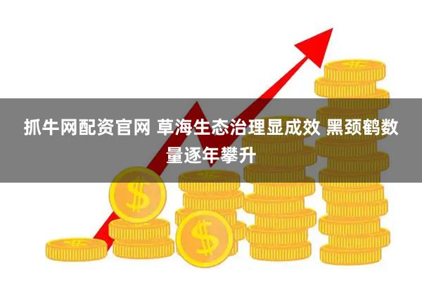 抓牛网配资官网 草海生态治理显成效 黑颈鹤数量逐年攀升