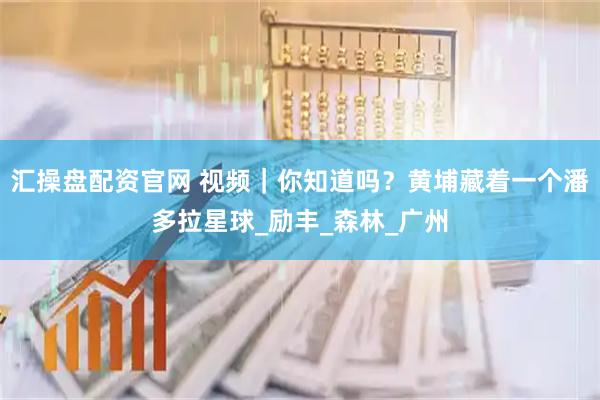 汇操盘配资官网 视频｜你知道吗？黄埔藏着一个潘多拉星球_励丰_森林_广州