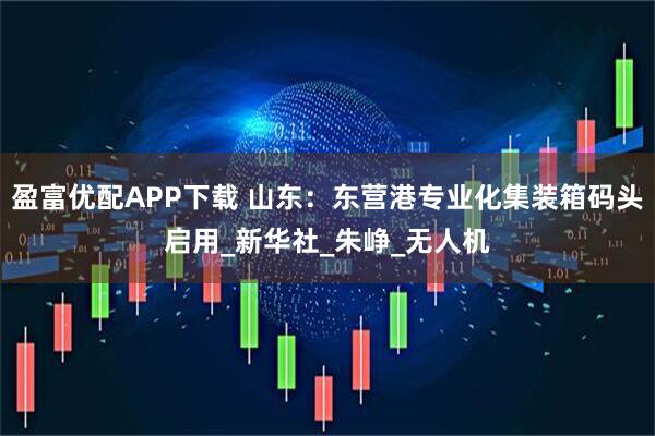 盈富优配APP下载 山东：东营港专业化集装箱码头启用_新华社_朱峥_无人机